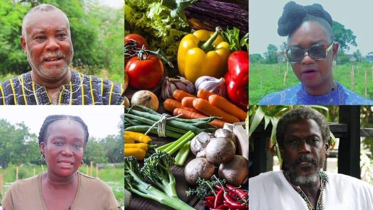Experts urge government to encourage more farmers to adopt agroecology – FULL VIDEO