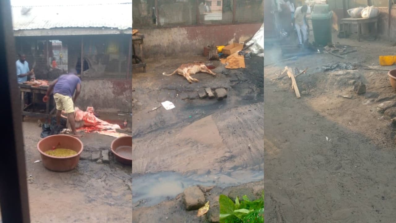 Abandoned slaughterhouse: Ada West Assembly to relocate butchers after The Fourth Estate’s investigation
