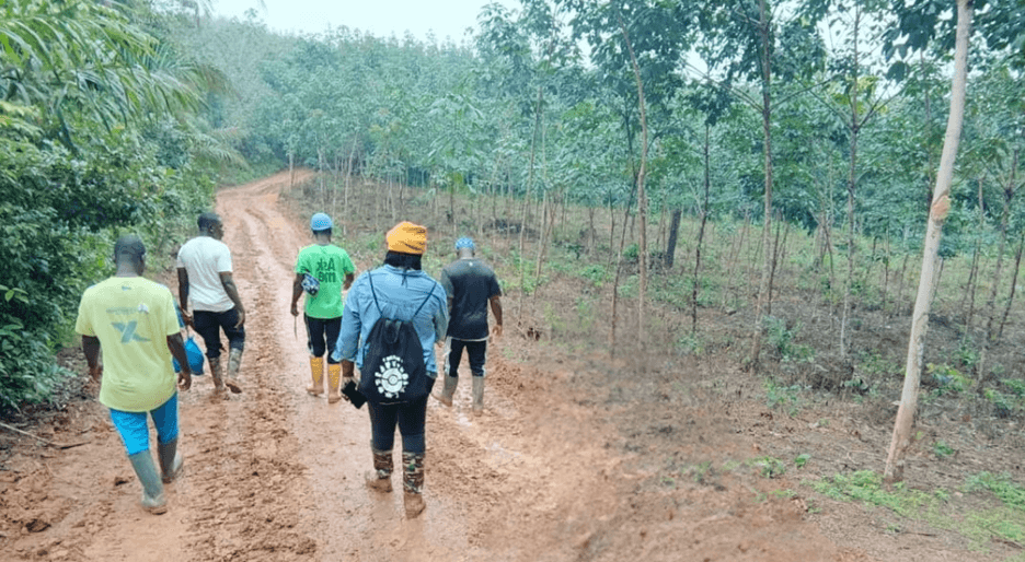 Ghana’s rubber industry under strain as raw exports drain value and threaten jobs