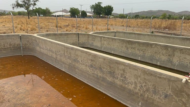 The ‘unwanted’ fishpond: How a World Bank-funded project failed two Upper East communities