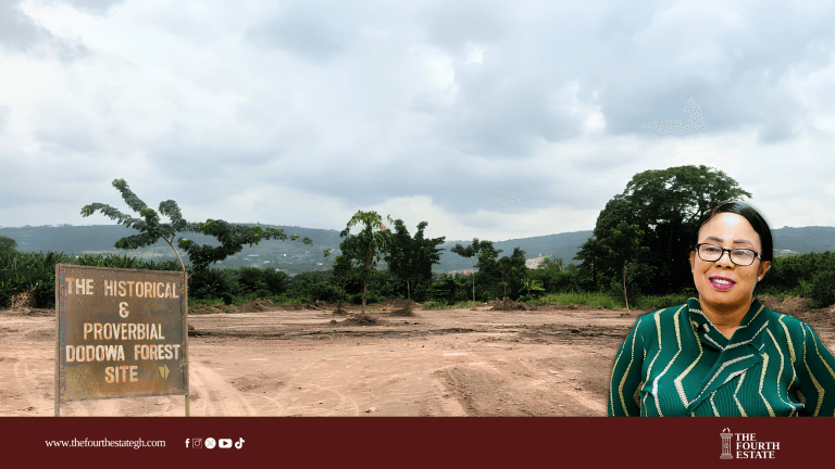 Huge swathe of Dodowa Forest cleared to relocate traders, raising alarm among environmentalists