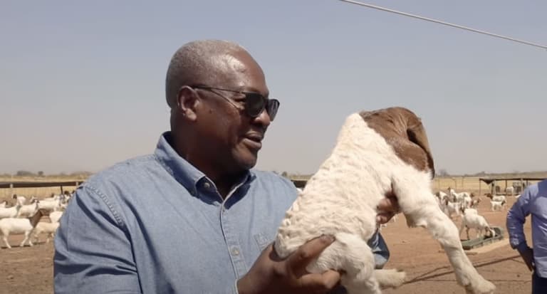 Livestock farmers say Feed Ghana Programme has left them behind
